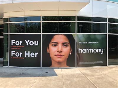 window graphics5 Photo